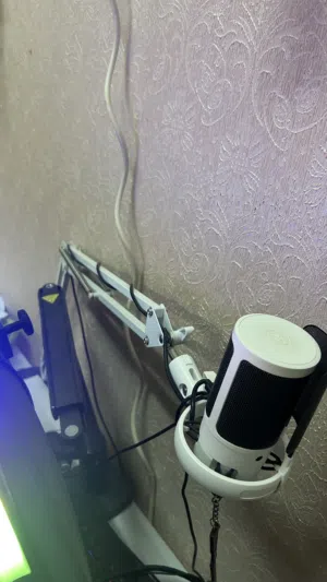 مايك مع ستناند