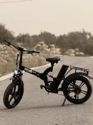 بسكليت كهرباء عريض مغنيسيوم 2024