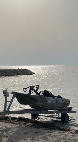 للبيع كاياك الدولفين