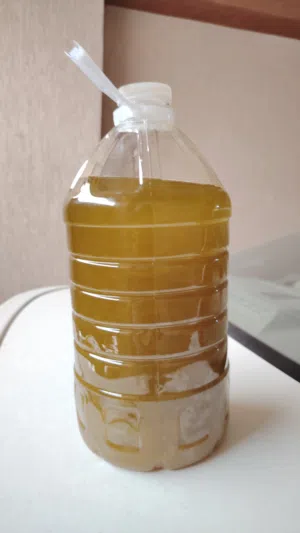 زيت زيتون تبارك الرحمن