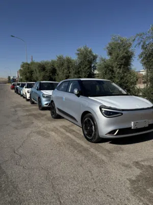 New Dongfeng Nammi Box in Zarqa