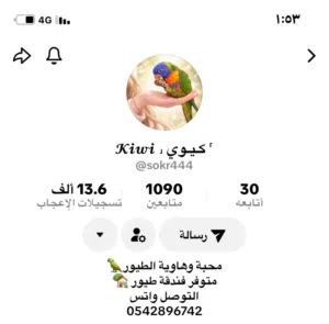 فندقه طيور الرياض