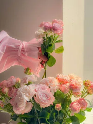 نور بسام صلاح النتشة 