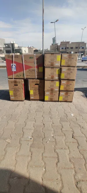 عشرة قطع بسعر حرق
