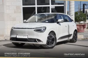 New Dongfeng Nammi Box in Irbid