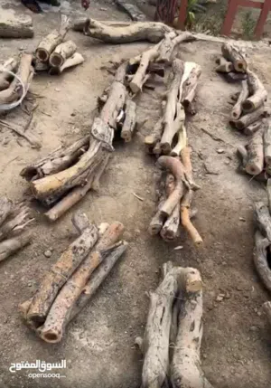 حطب سمر للبيع احجام مختلفه تريب بكب غمارتين