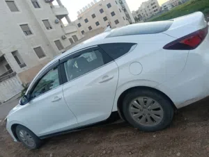 شانجان أبدو 2025