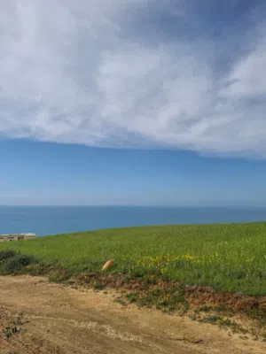 Farm Land for Sale in Tanger Other