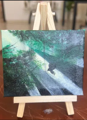 تنفس الغابه عند الفجر