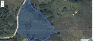 17,000 m2 Hazelnut Garden for Sale in Ordu, Kabadüz – Yukarı Kirazdere