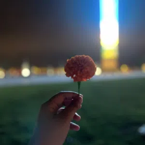 عبود 