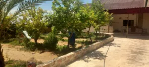 بيت واسع ومطل قريب ع جميع الخدمات