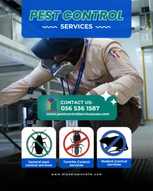 Best Affordable Pest Control Services in Ajman  Blue Diamond