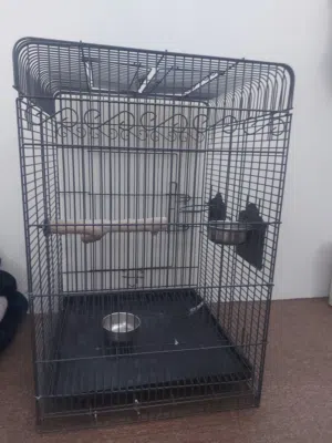 Large Cage with Mobile Base (Excellent Condition)