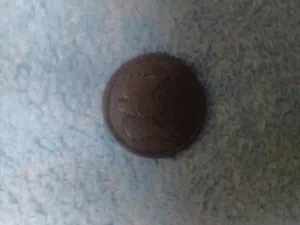 10وليمات من سنه 1393الي سنه 1973
