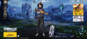 Pubg Accounts and Characters for Sale in Hebron