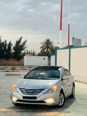 سوناتا تحيا 2012