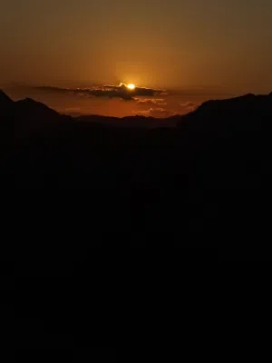 مجتبى 