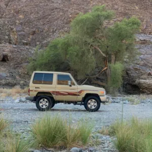 مالك الهنائي 