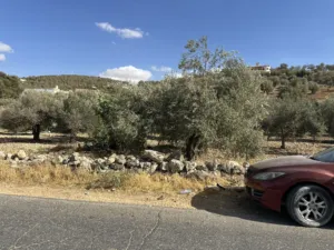 Farm Land for Sale in Zarqa Al-Alouk