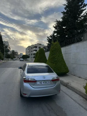 تويوتا كرولا 2019