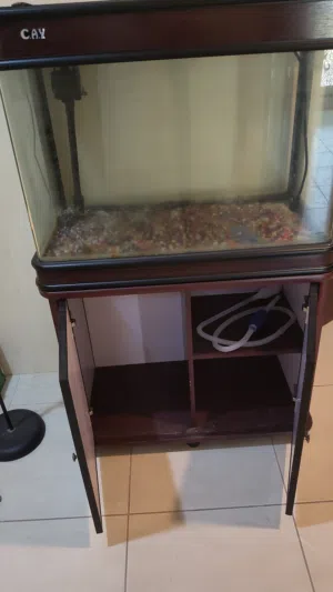 حوض السمك مستعمل