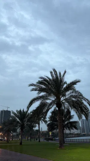 منزل للايجار