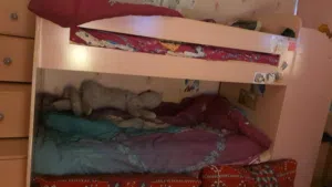 سرير أطفال دورين