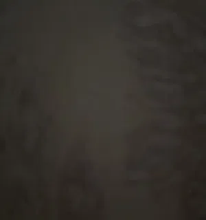 محمد يوسف 
