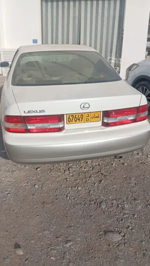 لكزس الكبش