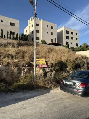 Residential Land for Sale in Amman Daheit Al Rasheed