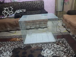 قفص جبير للبيع حلو نضيف
