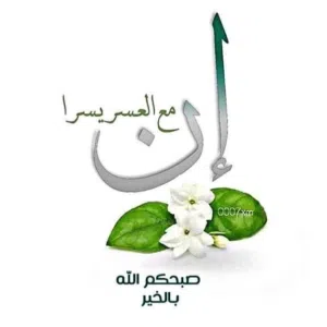 member-167075885775 