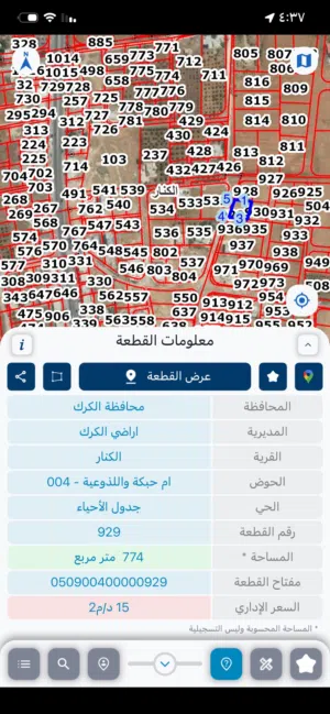 أرض داخل التنظيم تبعد عن الشارع الرئيسي 200 صخرية