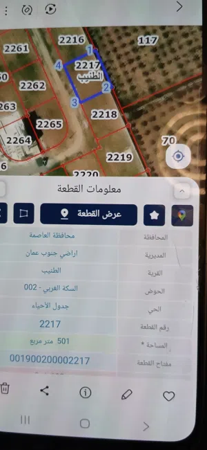 Residential Land for Sale in Amman Al Tuneib