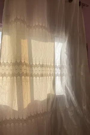 برادي اوف وايت للبيع