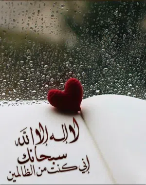 walid 