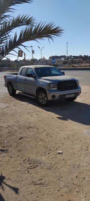 تندرا 2010