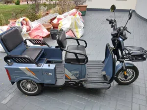 Electric 3 wheel for sale