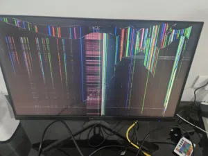 165hrtz gameon monitor cracked