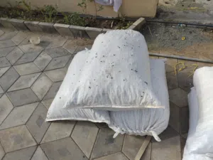 للبيع نفيعه مخلوط