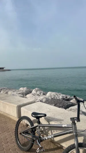 Bmx Dk Medium
