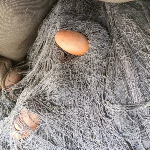 لياخ9قطع هدب 36 رغب 12