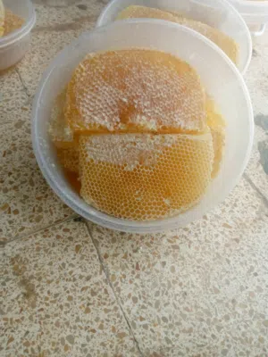 عسل ضباية عصيمي جبلي درجة أولى