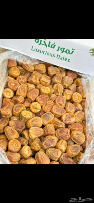 تمر مفتل وجالكسي بسعر رهيب