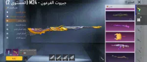 حساب ببجي للبيع
