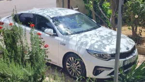 Used Kia K5 in Ramallah and Al-Bireh