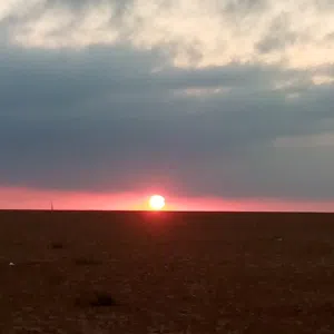 مزرعه خمسة دنم راس جبل مطله وكاشفه