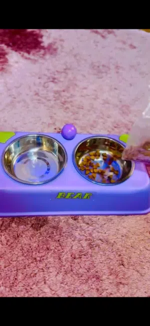 اكسسوارات قطط جديده للبيع