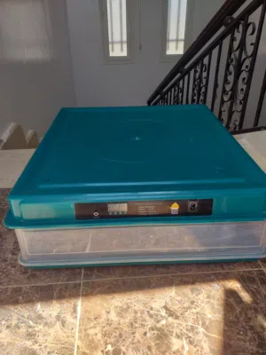 حضانة 130 دحية للبيع